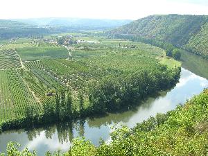 The River Lot and Vineyards  Cold Spring Press 2005