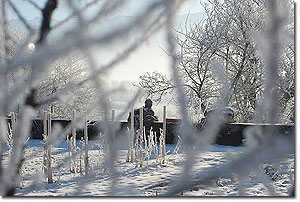 Garden in winter. Photo copyright Stphane Vandeville 2012.  All rights reserved.