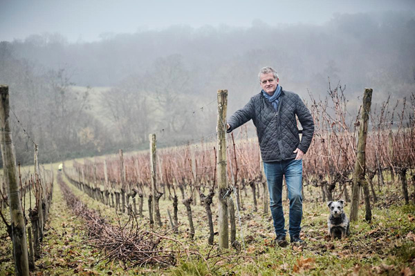 Gavin in winter vineyard   Copyright Gavin Quinney,  All rights reserved.