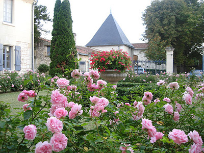 Château de Bournand in the Loire Valley