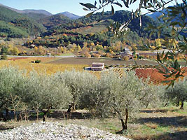 Countryside around Buis-les-Baronnies.  Photo courtesy of Pays des Baronnies web site http://www.buislesbaronnies.com