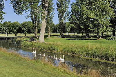 Chantilly Park, Canal and Swan Family.  Photo credit: Otte.  All rights reserved.