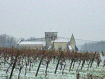 Winter Falls on Charente Vines