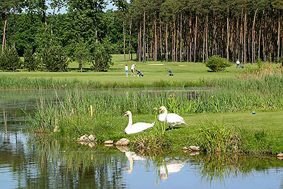 Golf course at Chteau de Cheverny
