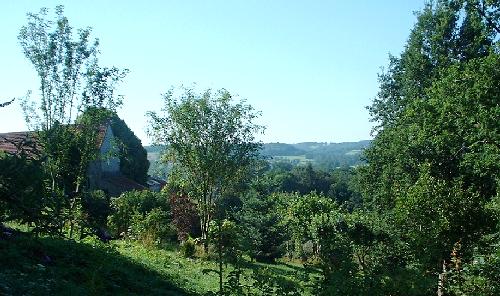 View from the writer's kitchen window!