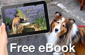 Free eBook about Chula