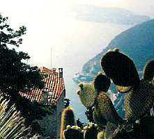 View of Mediterranean from Èze © Cold Spring Press 1997-2006