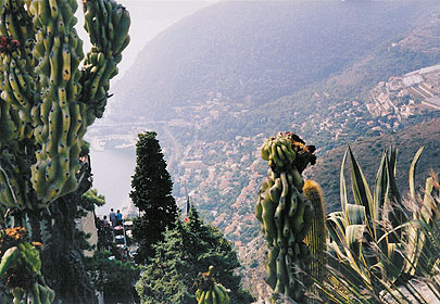 Magnificent Views from Eze's Jardin Exotique