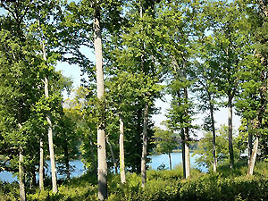 Fret de Tronais at Pirot Lake.  Photo credit: www.francevoyage.com