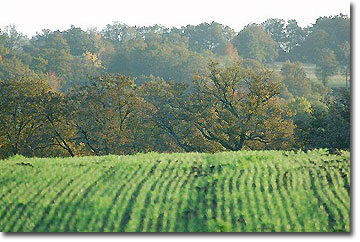 Organic Produce.  Château du Fraisse.  Copyright Cold Spring Press.  All rights reserved.