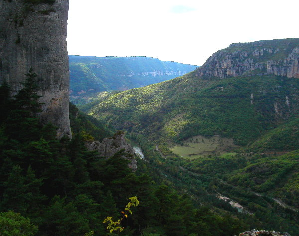 Gorges du Tarn