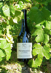 Bottle of Mersault.  Photo copyright David and Lynne Hammond.  All rights reserved.