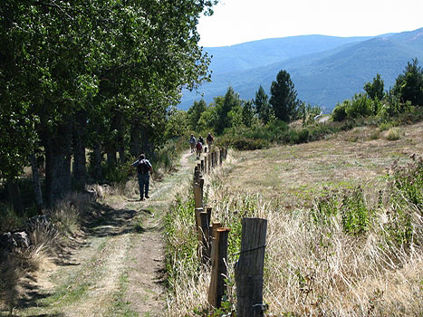 Along the Rgordane Track