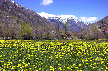 Llivia in the Spring.  Wikipedia