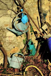 Collection of watering cans. Photo Dymphna Cahill copyright 2012.  All rights reserved.
