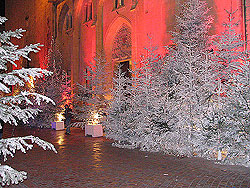 Place de la Mairie, Photo by Marlane O'Neill 2009.  All rights reserved.