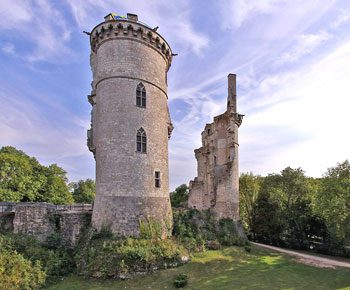 Mehun-sur-Yèvre château ruins.  fr.wikipedia.org