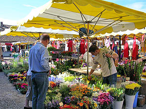 Monpazier Market Day.  Copyright Cold Spring Press.  All rights reserved.