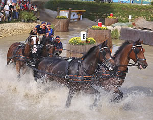 Driving Competition, WEG 2002 won by Ijsbrand Chardon of the Netherlands.  Photo credit: FEI Kit Hougton.