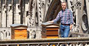 Notre Dame honeybees and beekeeper. NBCNews