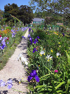 Beautiful gardens at Giverny.  Copyright Rosemary Bell.  All rights reserved.