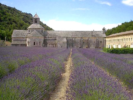 Abbaye de Senanque.  Wikipedia