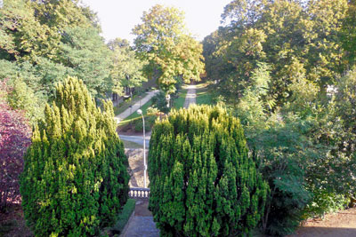 View of the Park from Our Room. Copyright Cold Spring Press. All rights reserved.