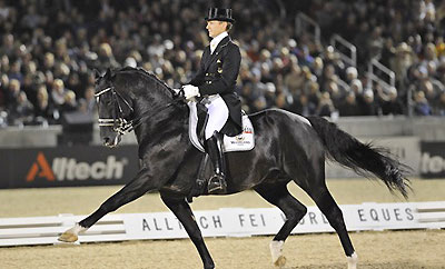 Dressage at the Games. Photo credit http://http://www.normandy2014.com