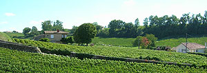 Beautiful St-Emilion in Bordeaux wine country. Copyright 2006-2008 Cold Spring Press.  All rights reserved.